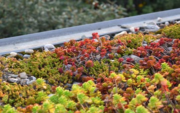 the cost of Desertmartin green roof installation