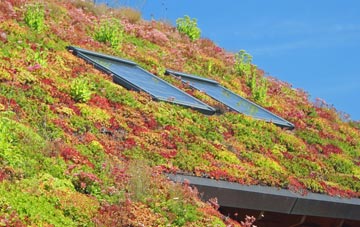 Desertmartin living roof systems