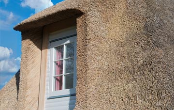 Desertmartin thatch roof disadvantages