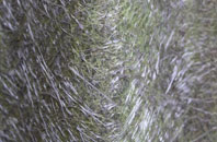 Desertmartin fibreglass roof work